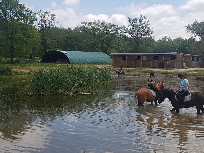 Poney Club / Centre équestre de Vinauger — photo 3