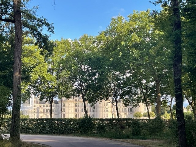 Le Mas, Muides-sur-Loire - photo 10