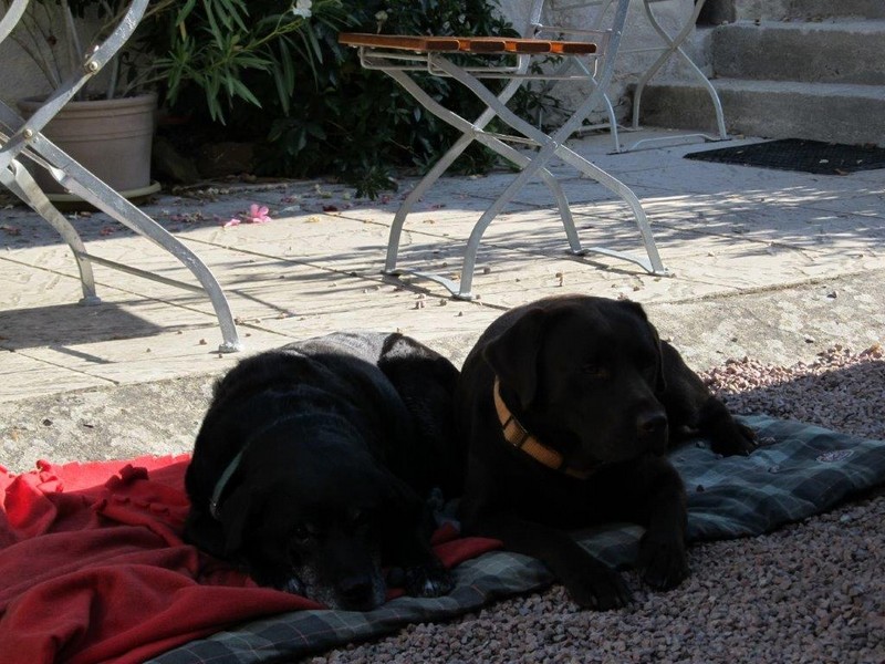 Le Clos de la Garde, Anché - photo 13