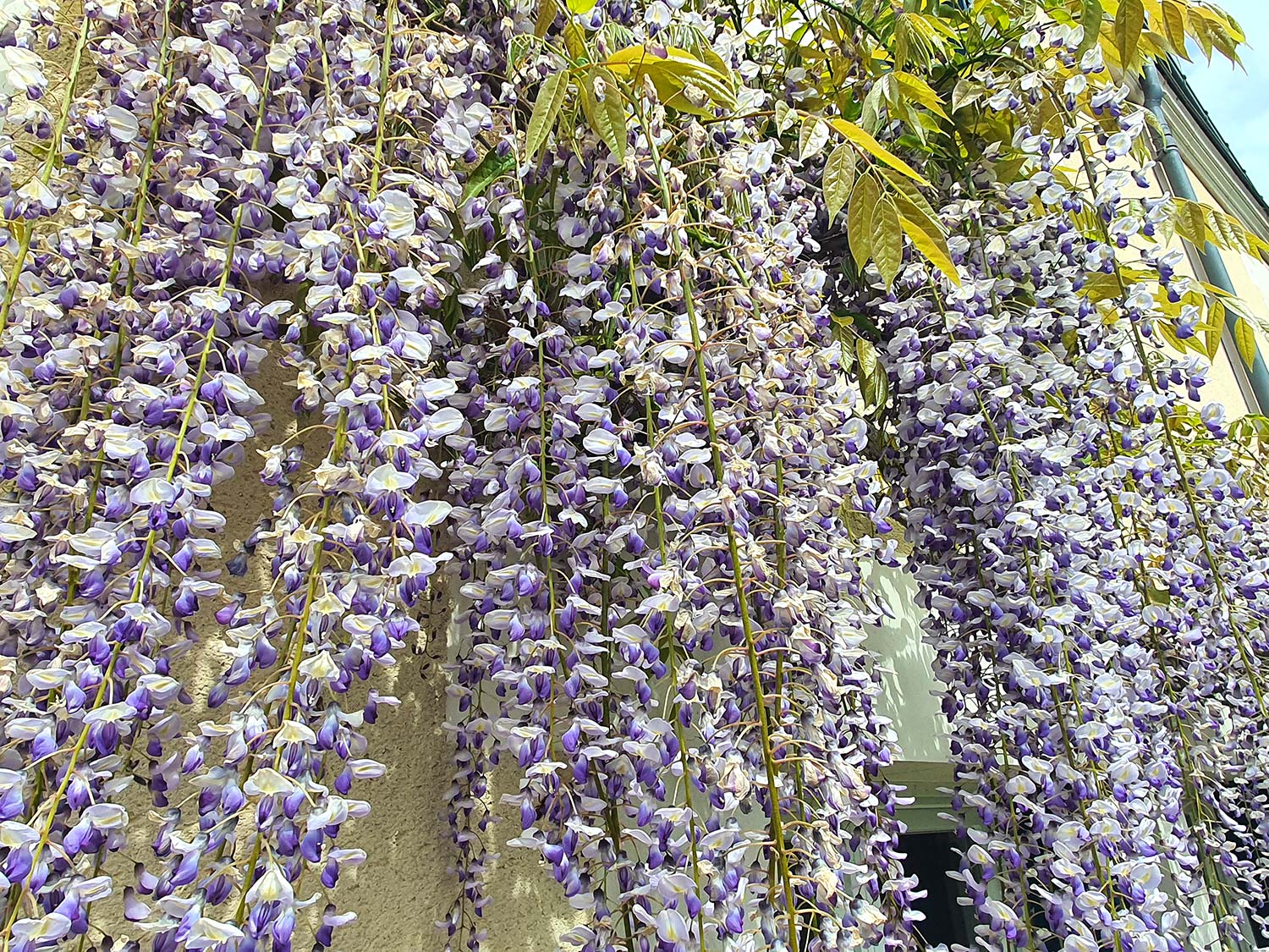 La Chambre des Châteaux, Cellettes - photo 18