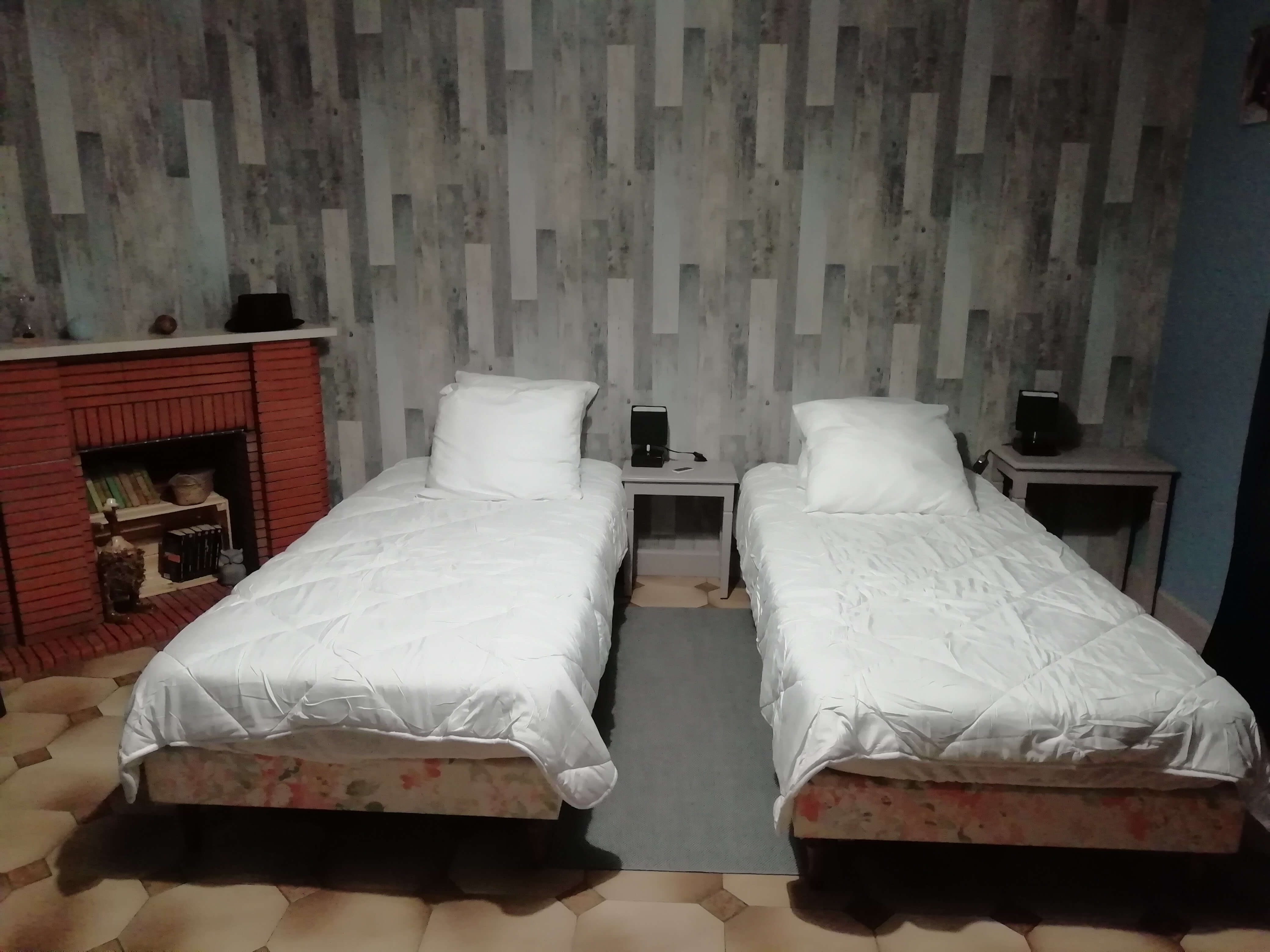 Tribu de beauval, Saint-Aignan - photo 13