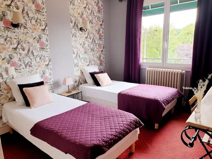 Hôtel Saint-Cyr, La Ferté-Saint-Cyr - photo 9