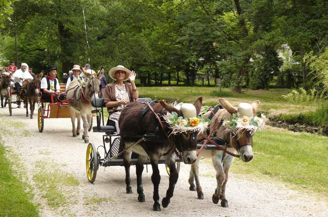 Prest-Anes, Chambon-la-Forêt - photo 5