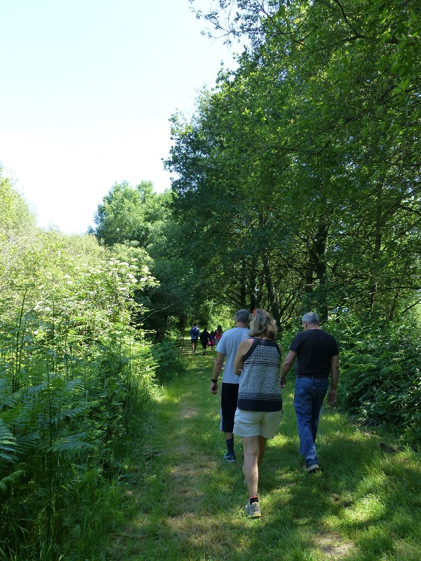 Le lac du Val Joyeux, Château-la-Vallière