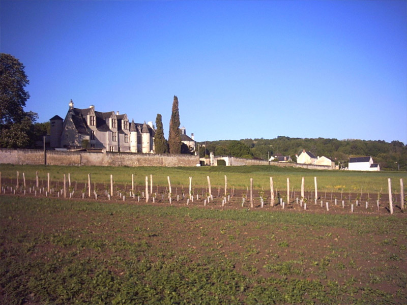 Château de la Vauguyon©