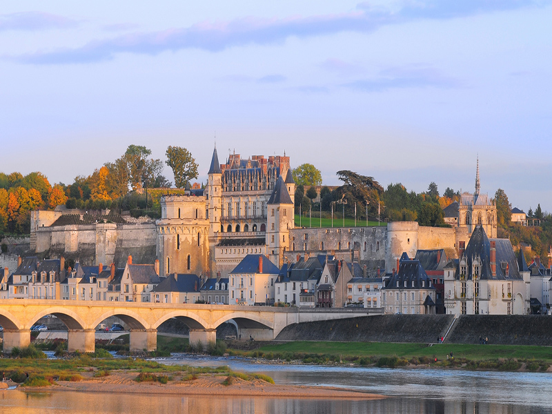château royal Amboise (2)