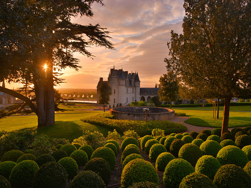 château royal Amboise (5)
