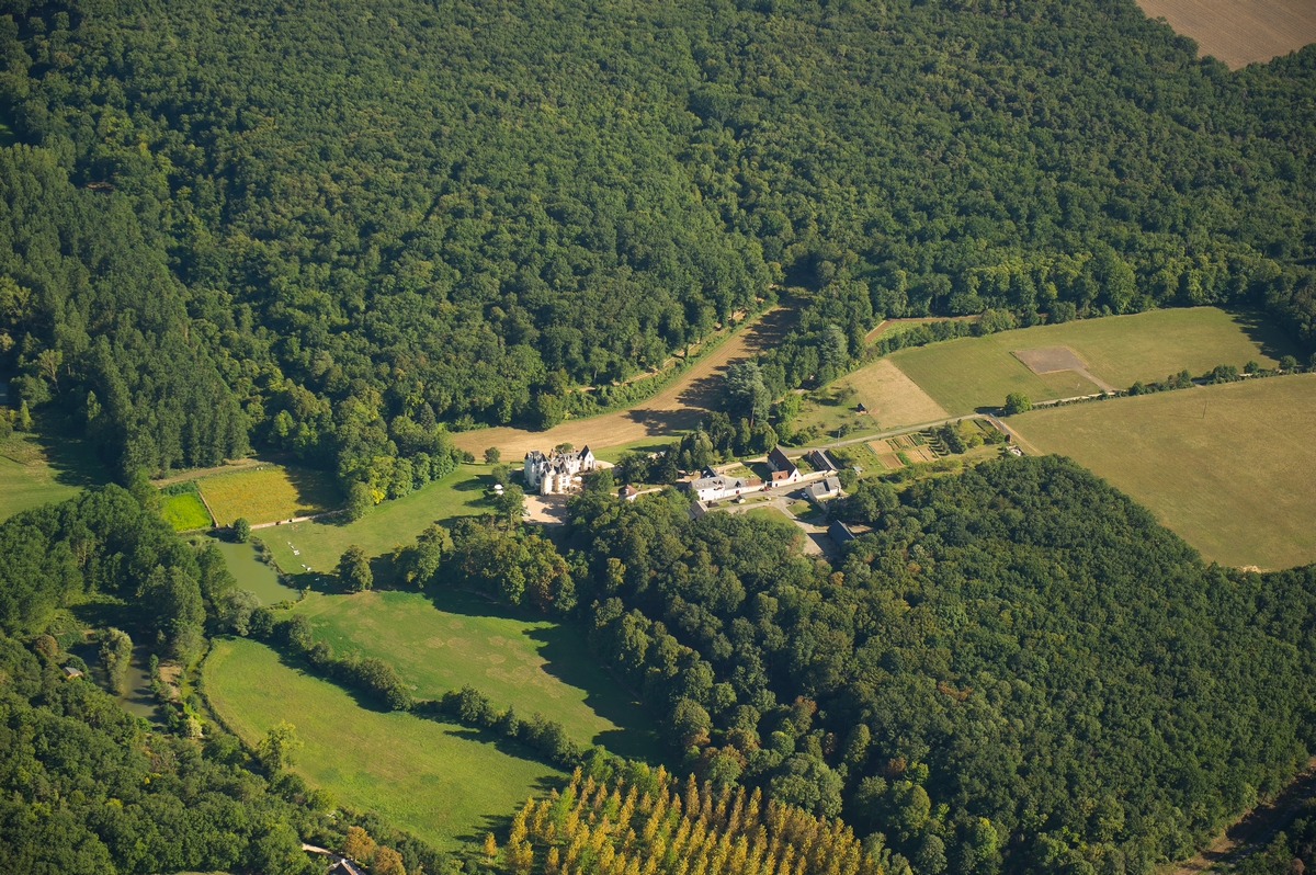 La Roseraie de Brou, Noyant-de-Touraine - photo 21