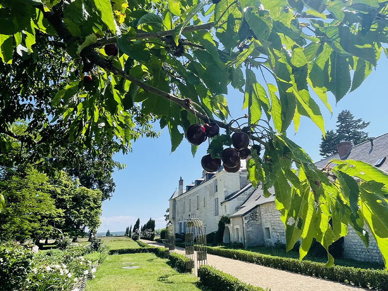 Château de Minière, Coteaux-sur-Loire - photo 5