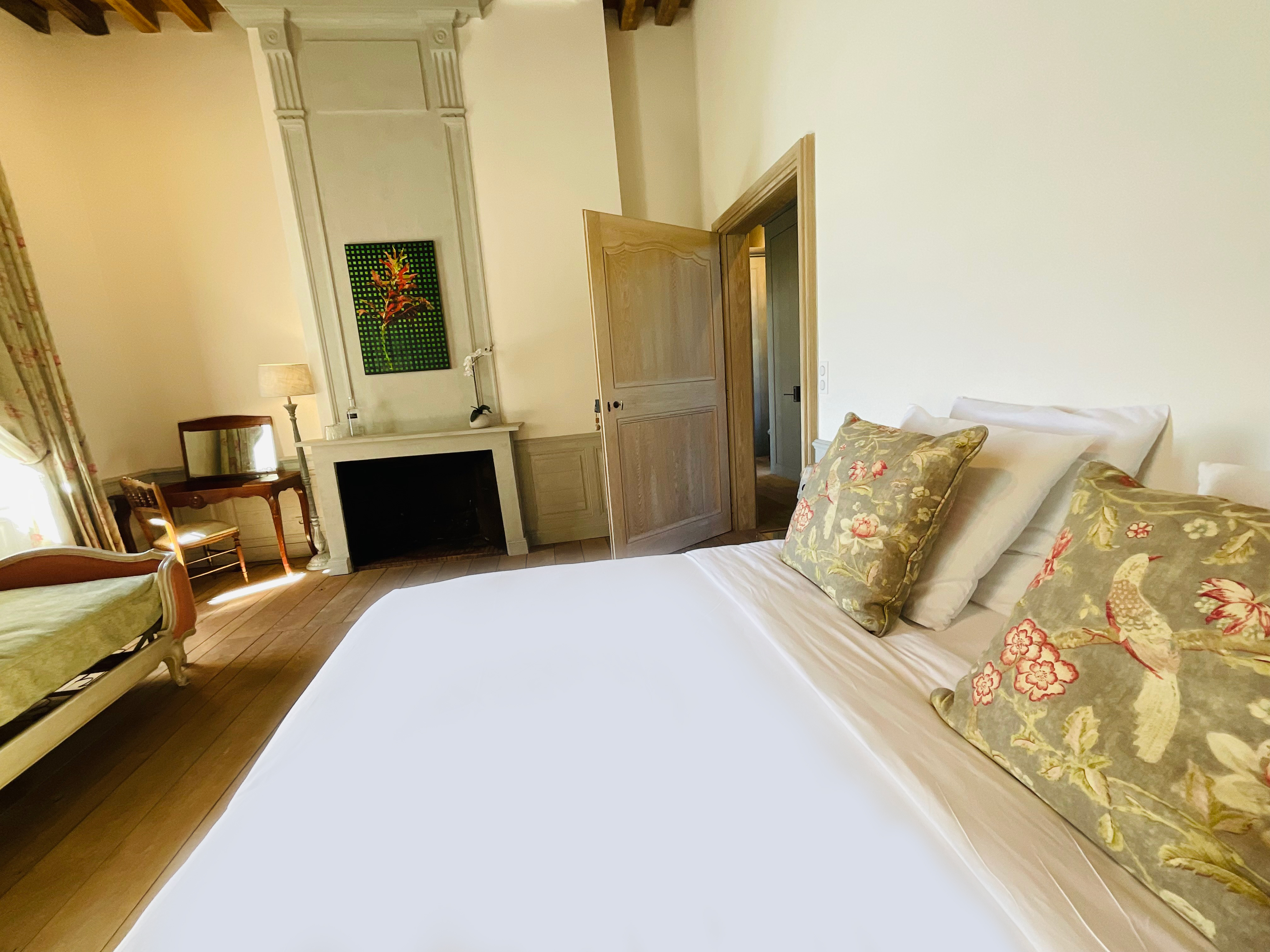 Château de Minière, Coteaux-sur-Loire - photo 3