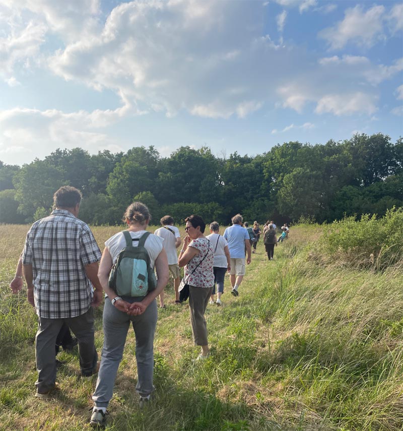 Cherchons la p'tite bête dans le Marais de Chavannes