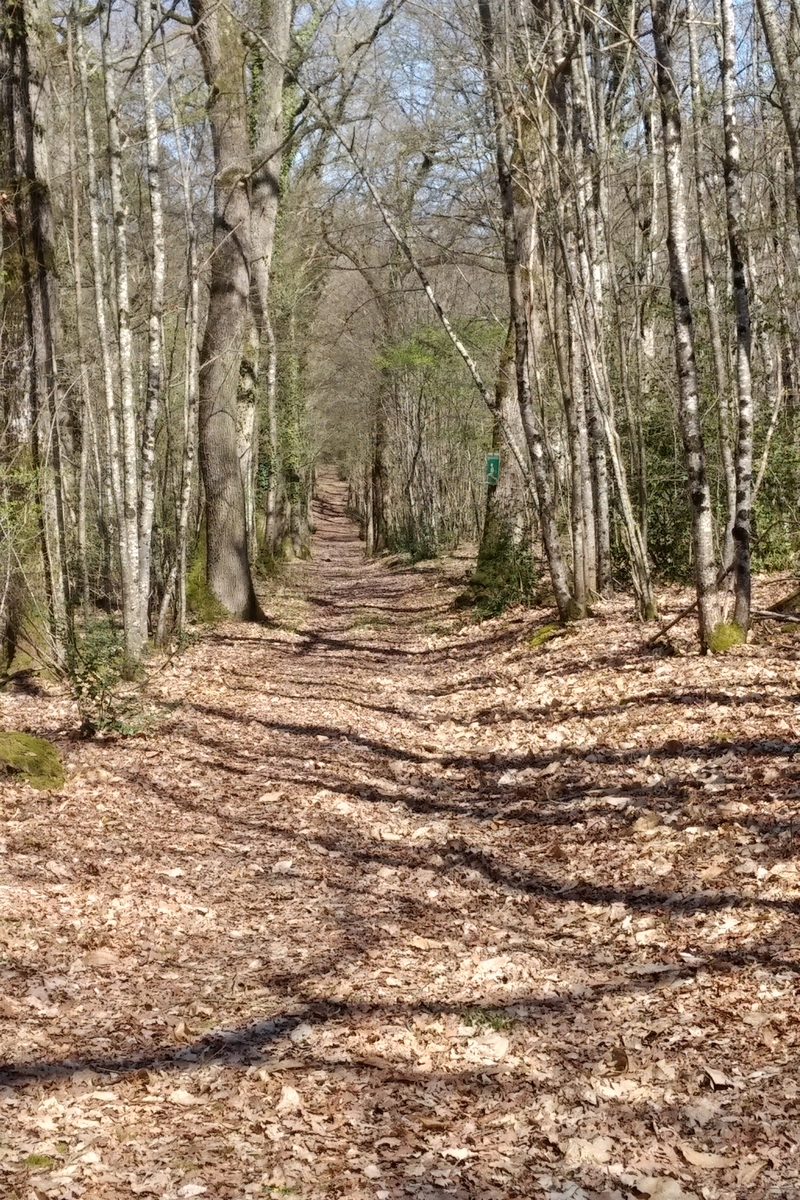 Château de Brou, Noyant-de-Touraine - photo 16