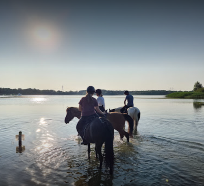 Cheval and Co, Argent-sur-Sauldre - photo 3