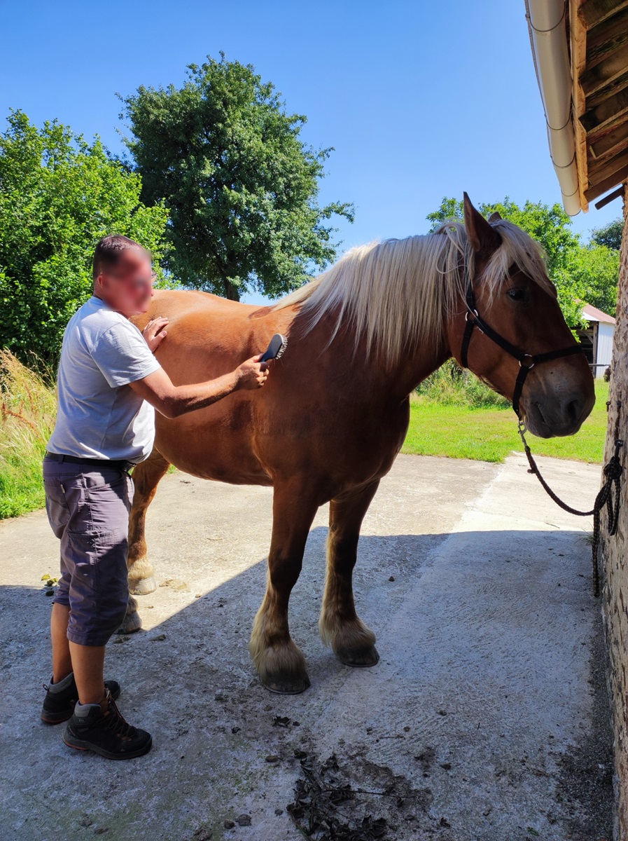 Séjour itinérant en roulotte avec 2 chevaux, Saint-Priest-la-Marche - photo 9