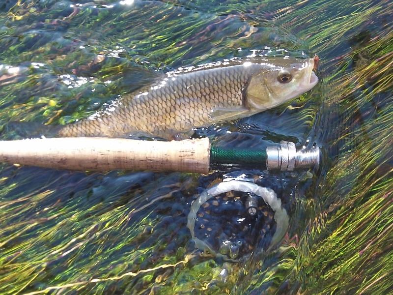Daniel Souchet Moniteur guide de pêche