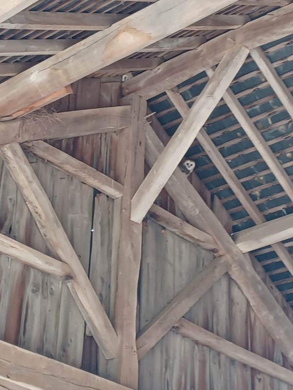 Aire de camping-car de la Grande Bizollière, Trizay-Coutretot-Saint-Serge - photo 5