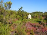 Sur les traces de Rabelais — photo 2