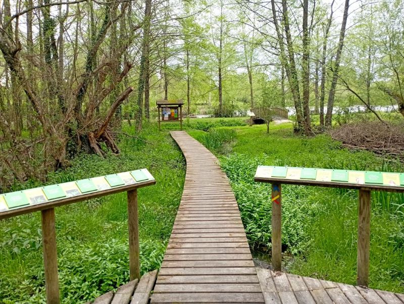 Pêche à l'étang communal de la Potinière — photo 2