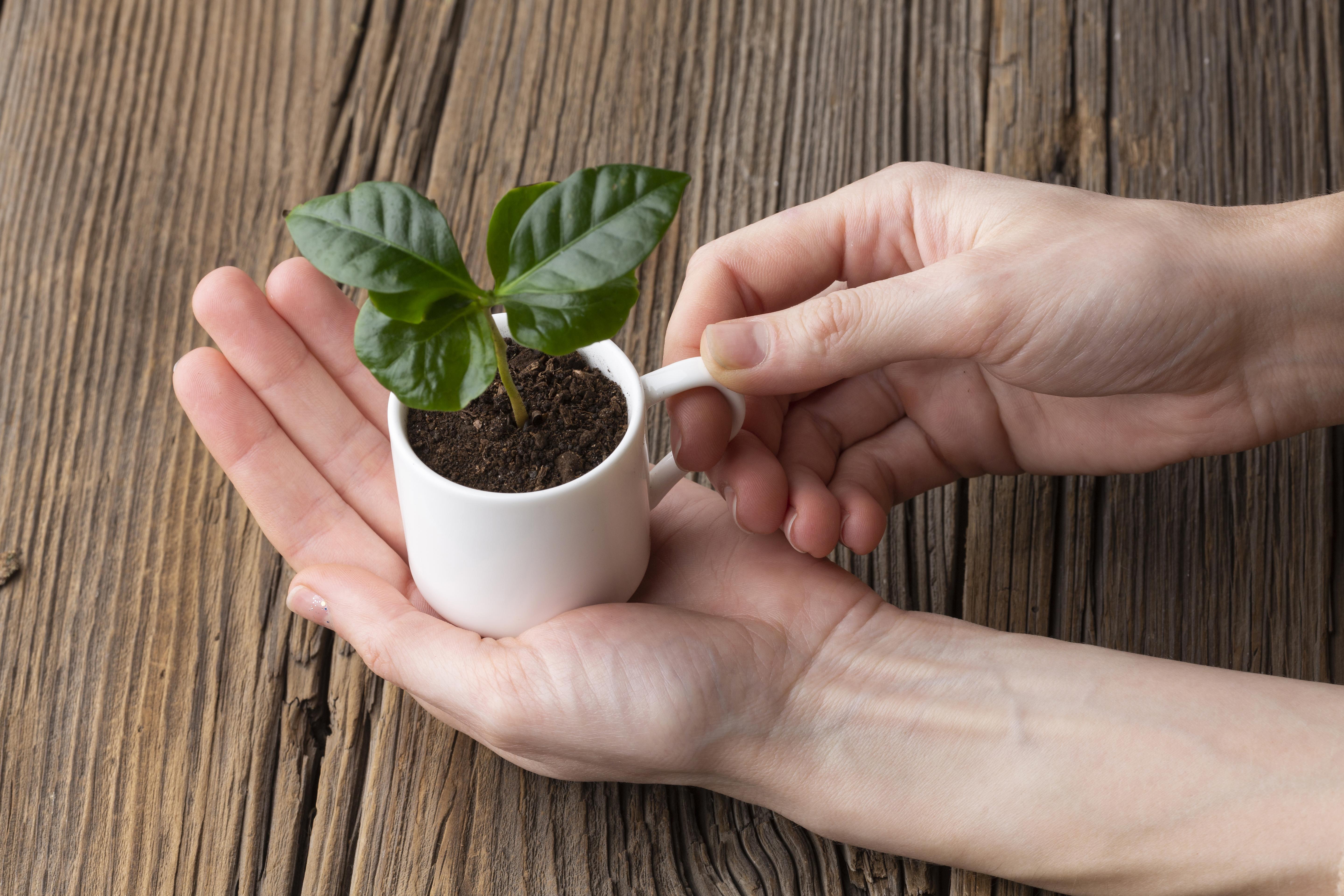 Café-Troc de plants