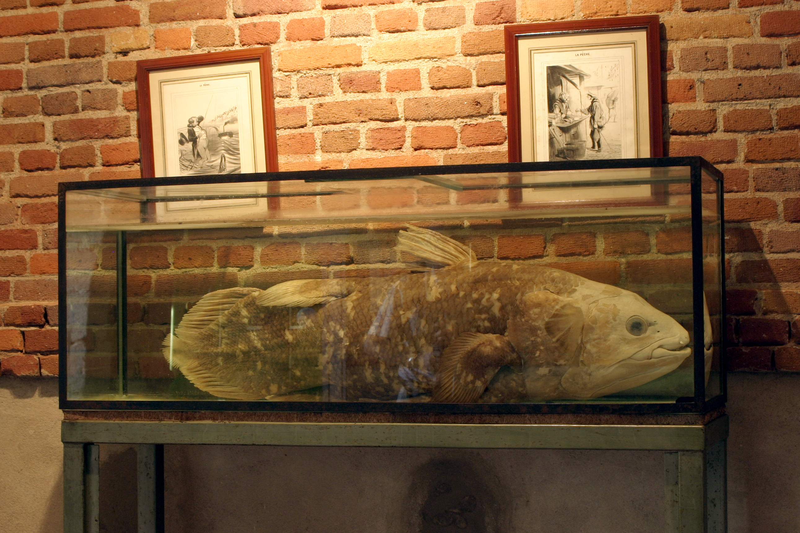 Château de La Bussière, La Bussière - photo 7