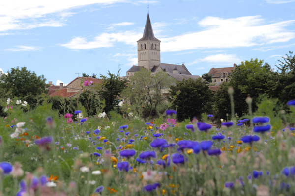 Collégiale Saint-Georges, Faye-la-Vineuse - photo 6