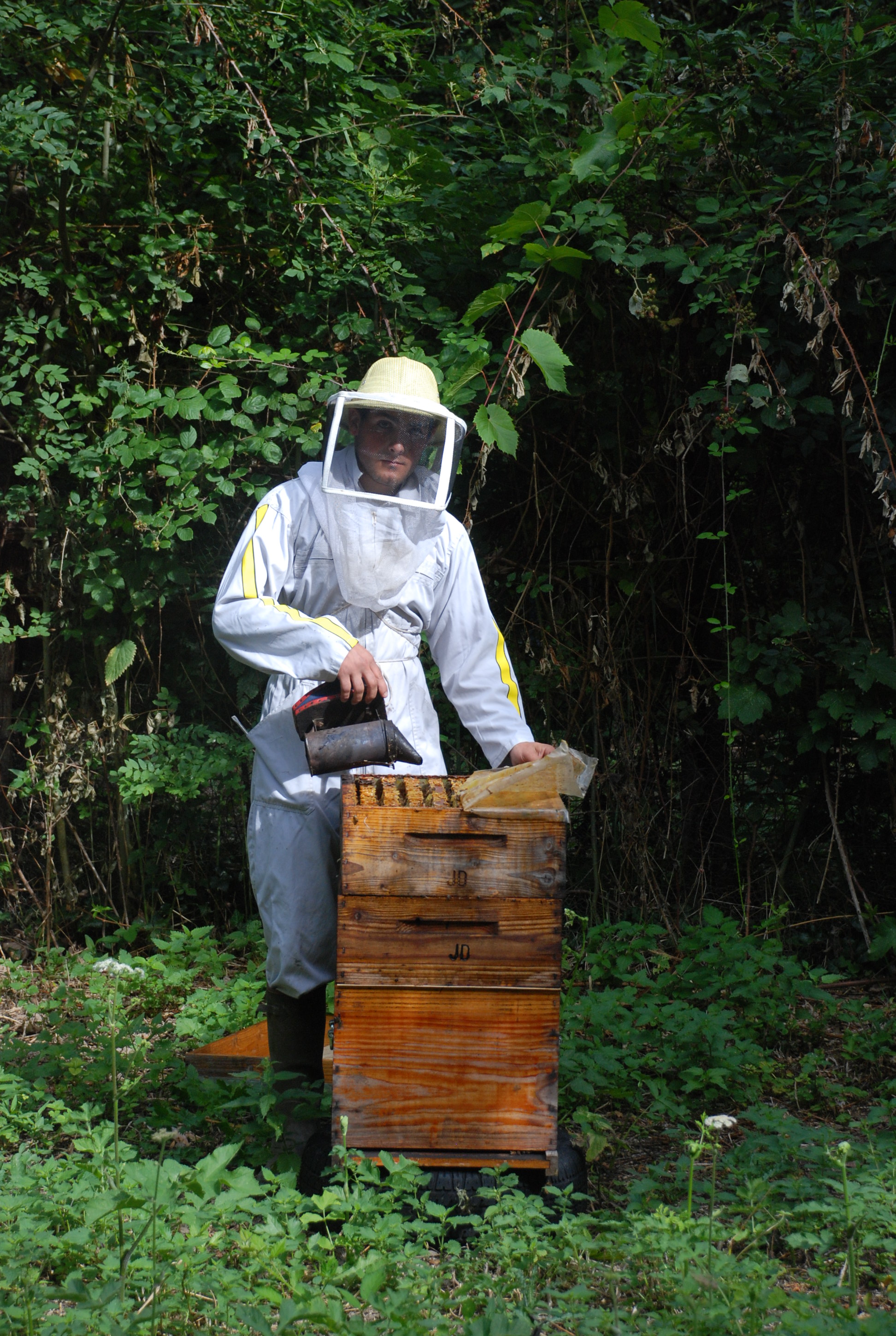 Ferme apicole du Gâtinais  France Centre-Val de Loire Loiret Sceaux-du-Gâtinais 45490