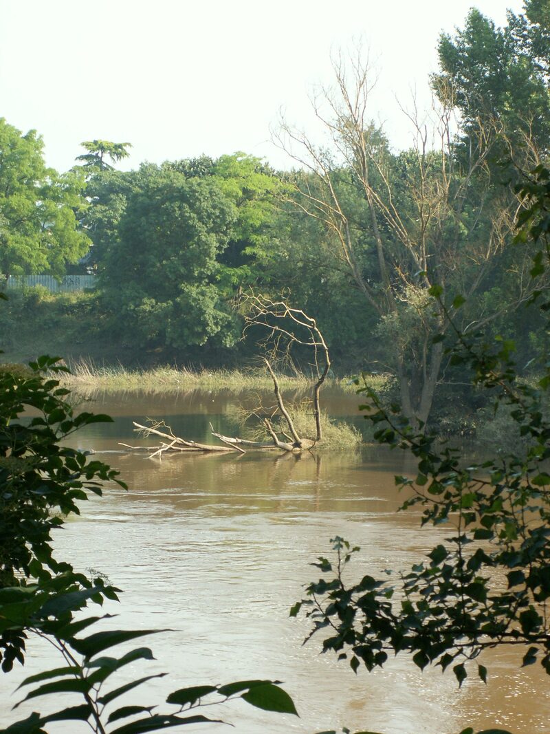 Balade de l'Ile Marie
