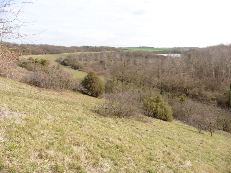 La Pelouse et le Marais de Roussy, Saint-Georges-sur-Arnon - photo 2