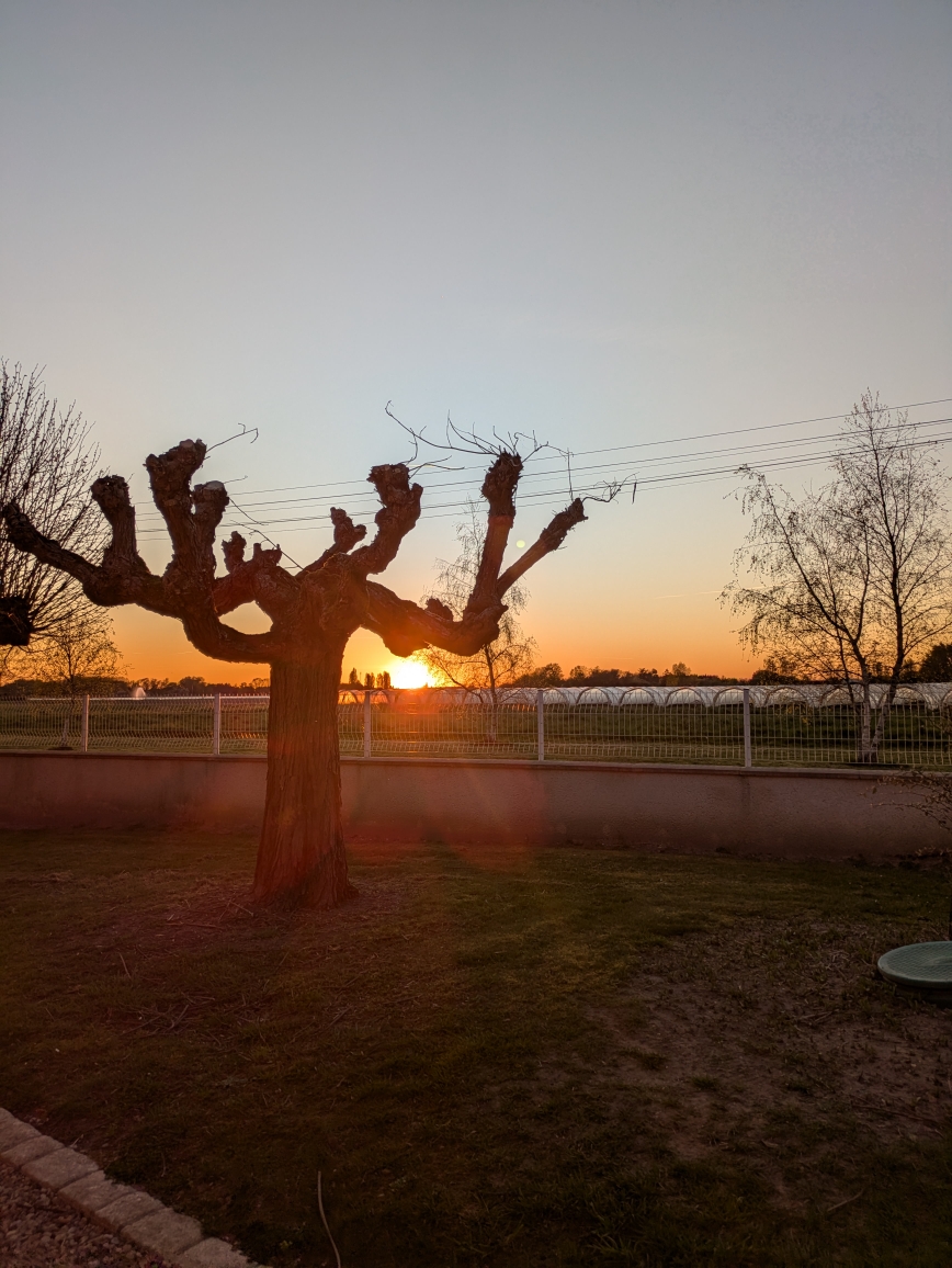 La boulaie, Le Controis-en-Sologne