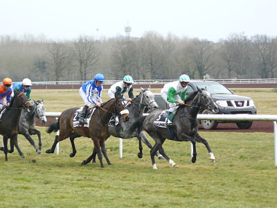 Dernière Réunion de courses hippiques 2026