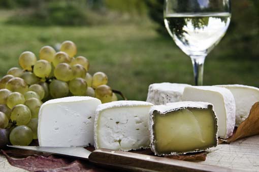 L'Eden du Sancerrois, Sens-Beaujeu - photo 6