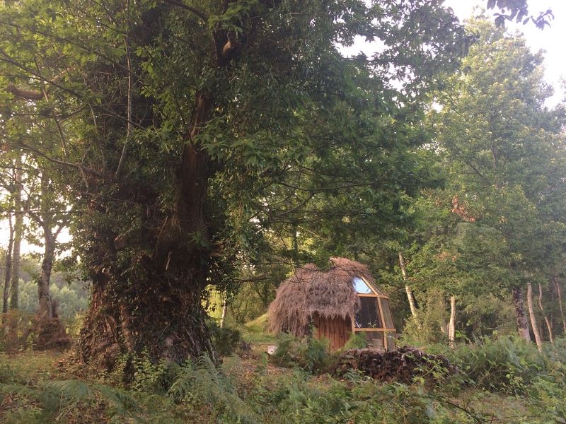 Le cul de loup du jardin des lierres, Vouzon - photo 5