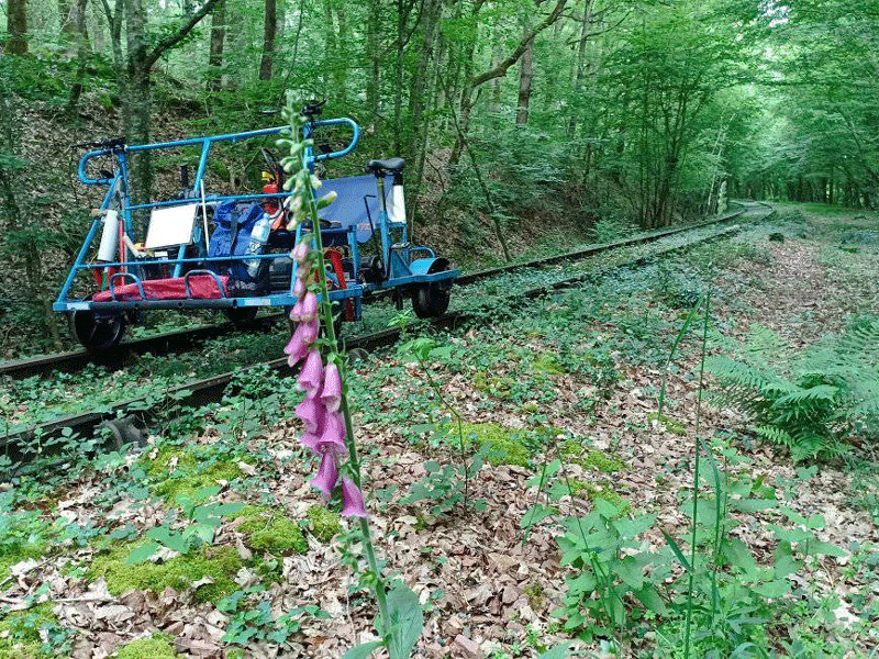 CycloRail 37, Château-la-Vallière - photo 10