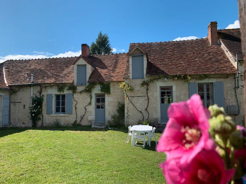 Les Joublinières, Martizay - photo 4