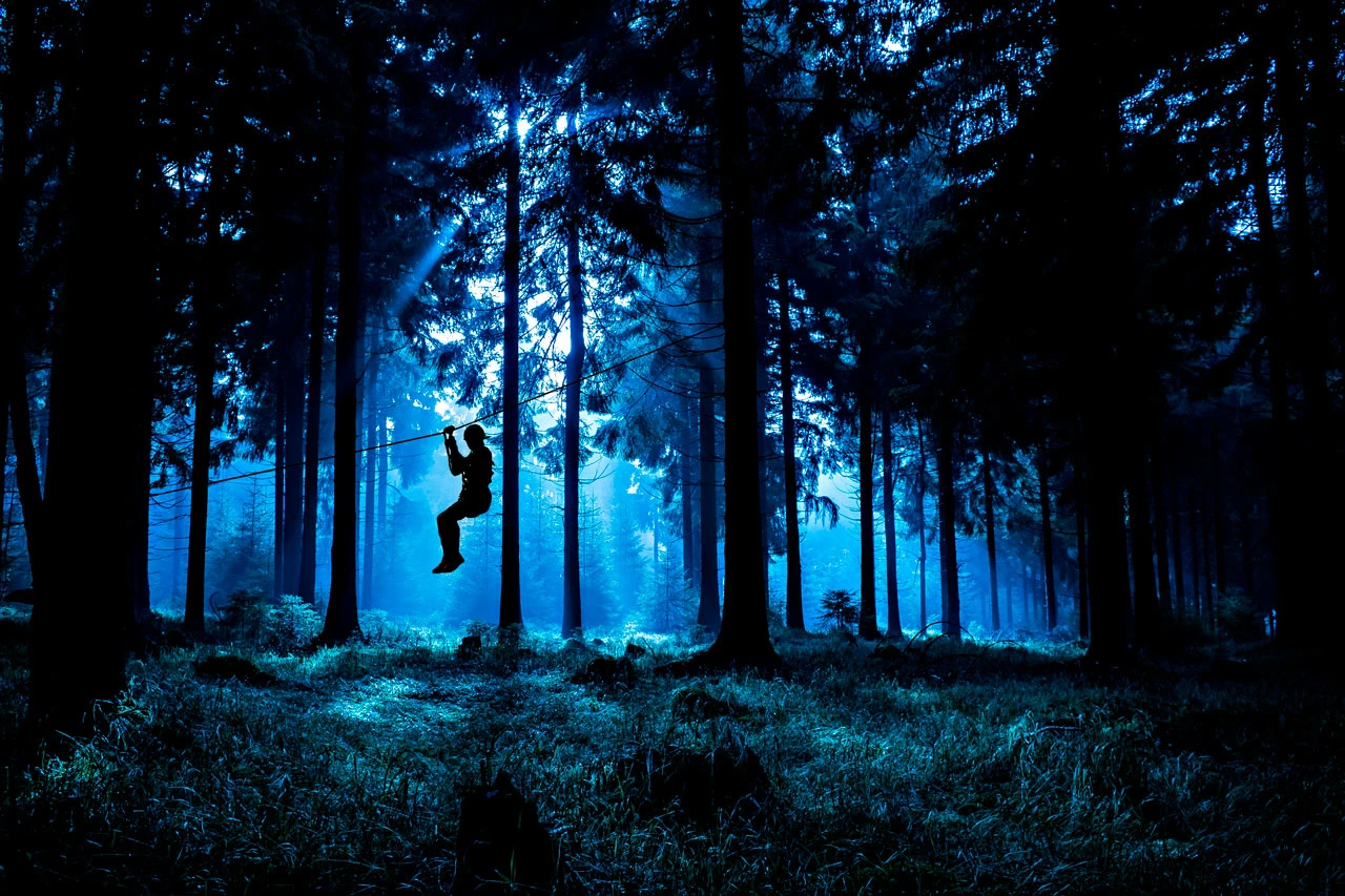 Soirées Accrobranche Nocturne - Etang de la Vallée, Vitry-aux-Loges - photo 3