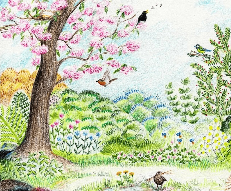 Reconnaissance des chants d’oiseaux à Lestiou