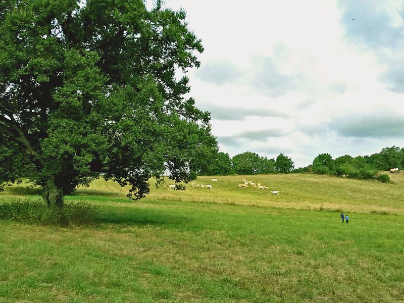 Le Four à Pain du Domaine des Cyclamens, Verneuil-sur-Indre - photo 9