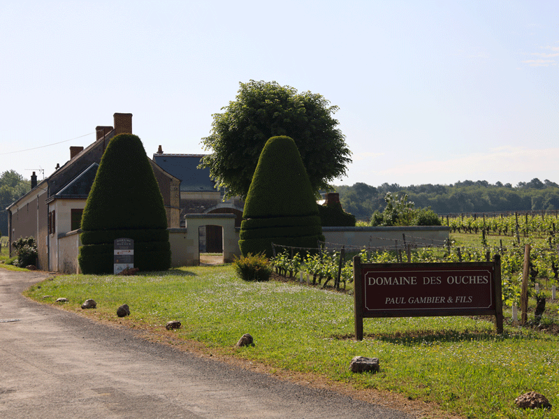 Domaine des Ouches©