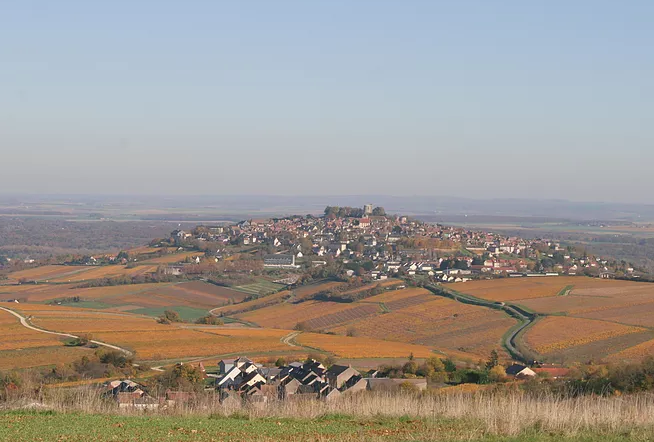 Domaine Jean-Luc et Jean-Paul Briou