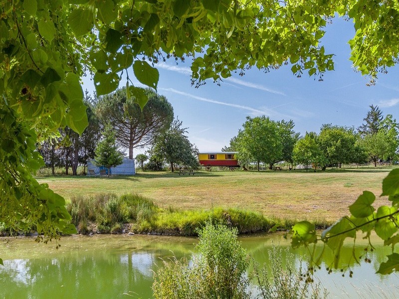 Domaine de la Roche Bellin, Descartes - photo 4