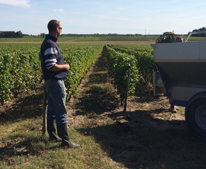 Domaine Jacques Rouzé — photo 3