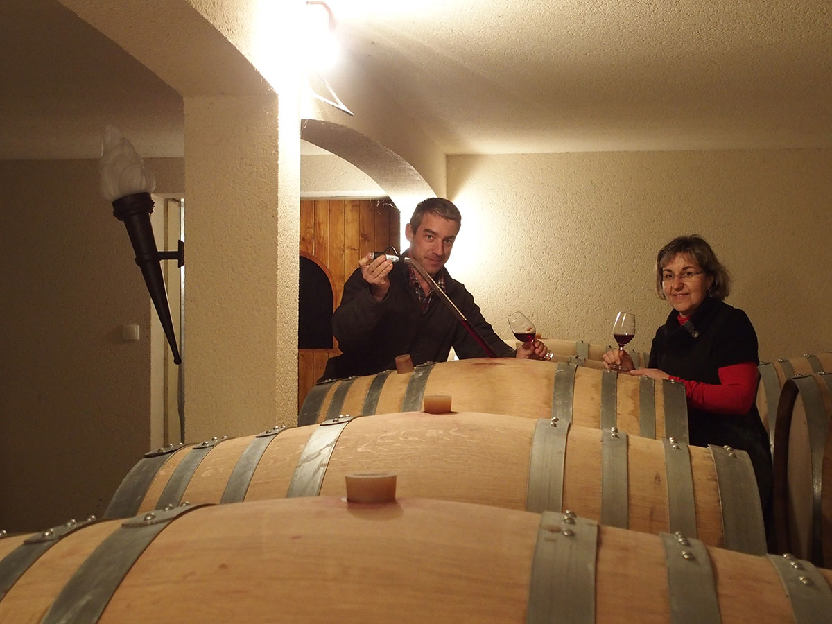 Domaine de Coquin, Domaine AUDIOT