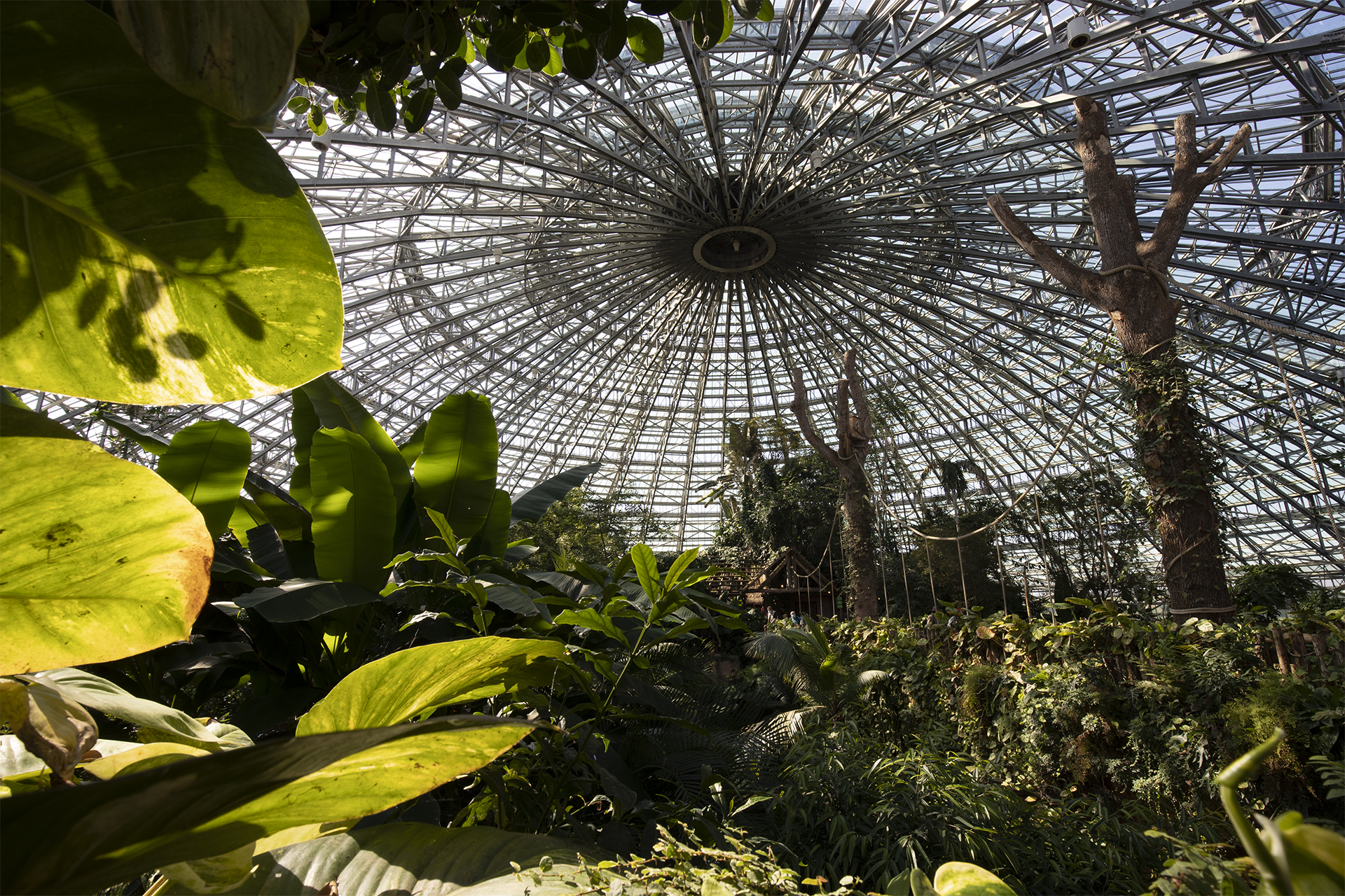 ZooParc de Beauval, Saint-Aignan - photo 12