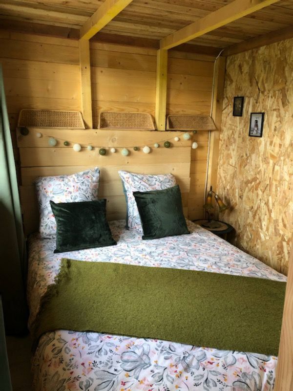 Chalet de Chitray - Ail des ours