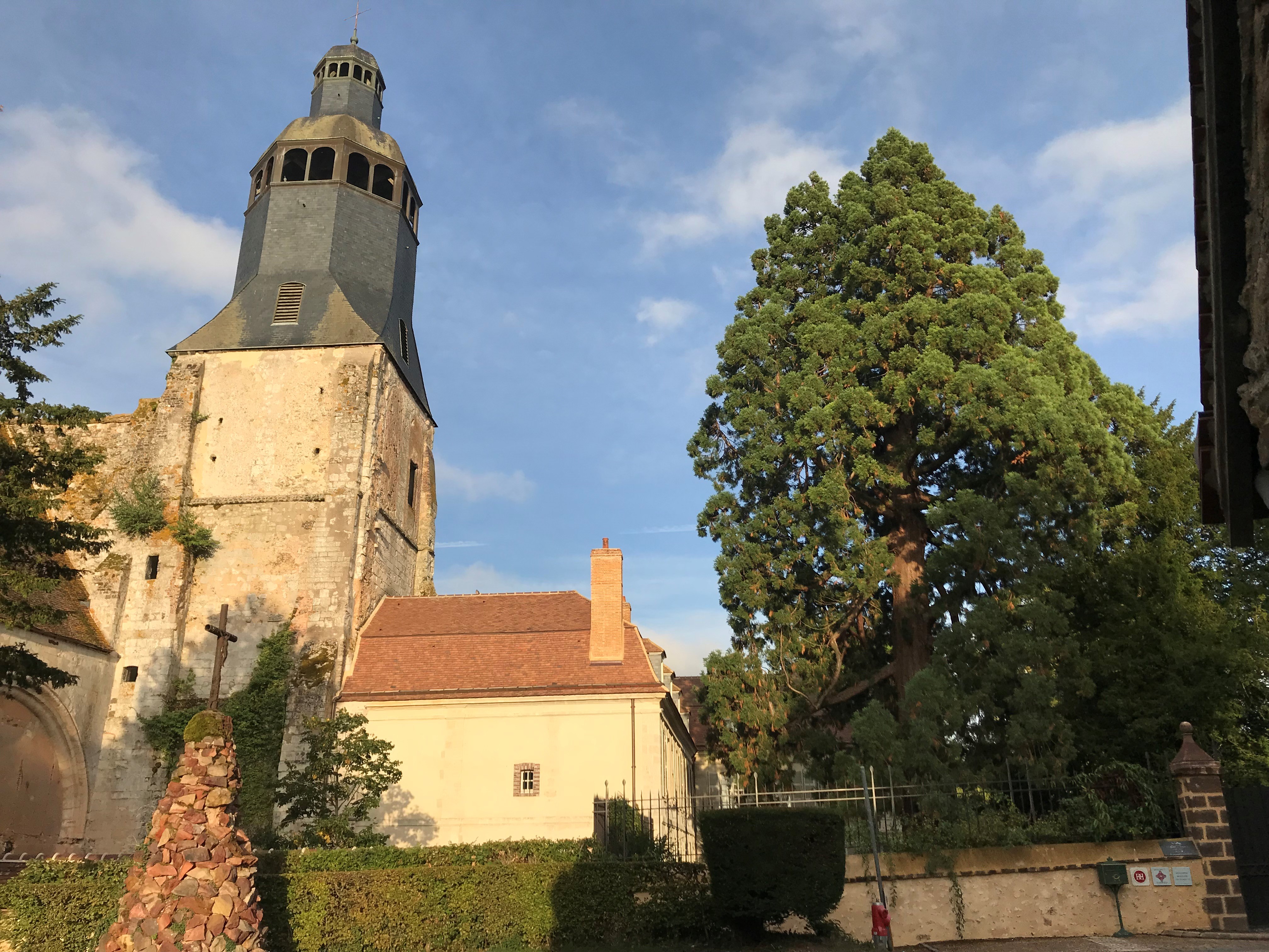 Église abbatiale de Thiron-Gardais, Thiron-Gardais - photo 6