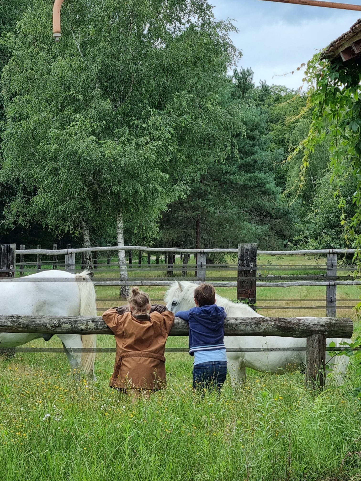 Le gite du Haras de Garrypierre, Neung-sur-Beuvron - photo 24