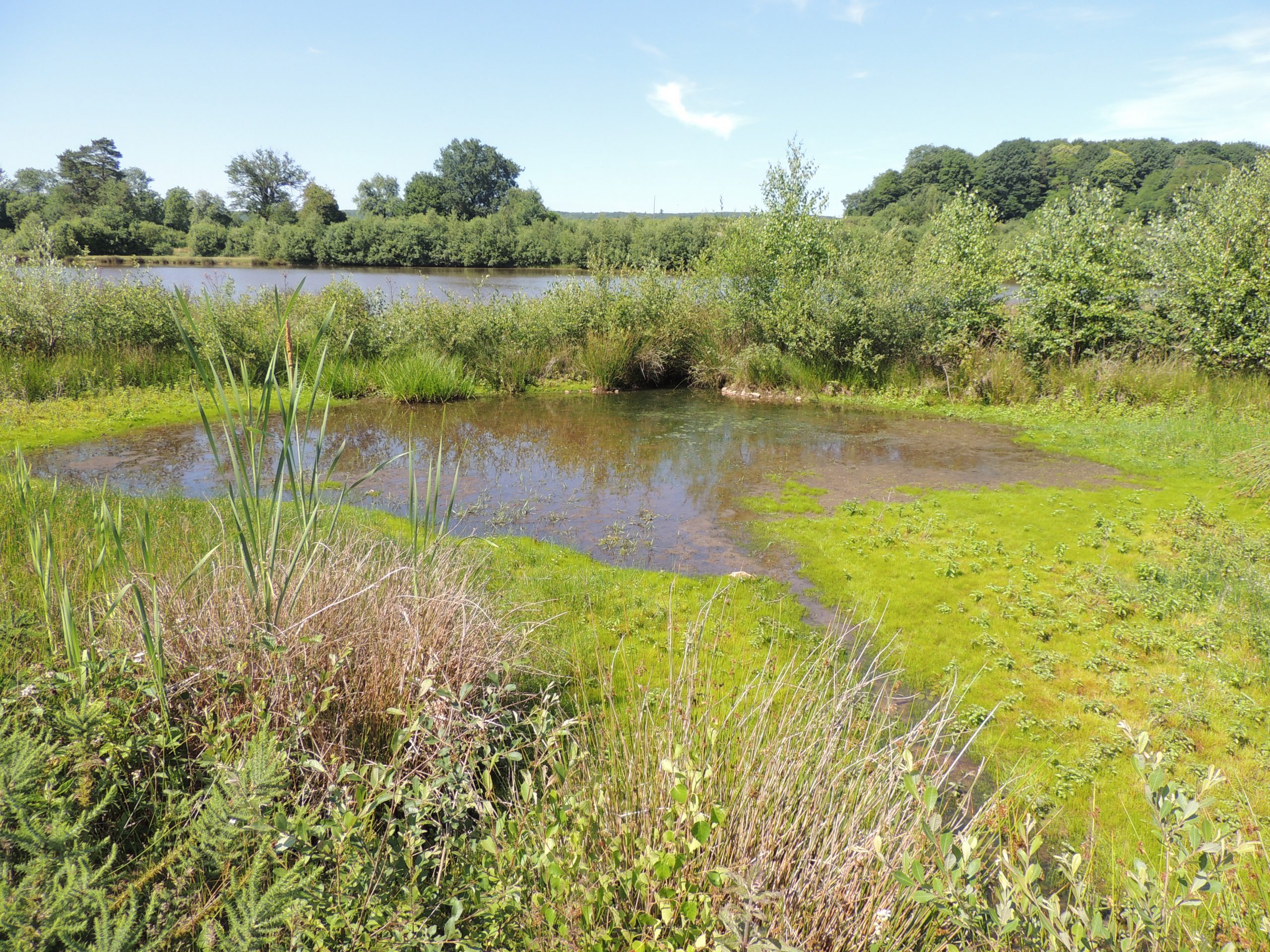L’Espace Naturel Sensible : « Territoire des Places », Morogues - photo 3