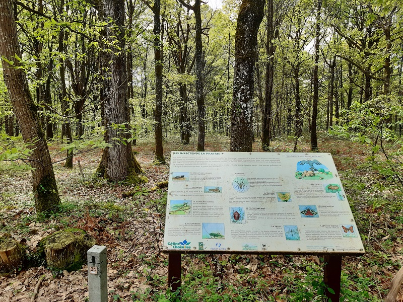 Espace Naturel Sensible des Rouchoux, Semblançay - photo 3