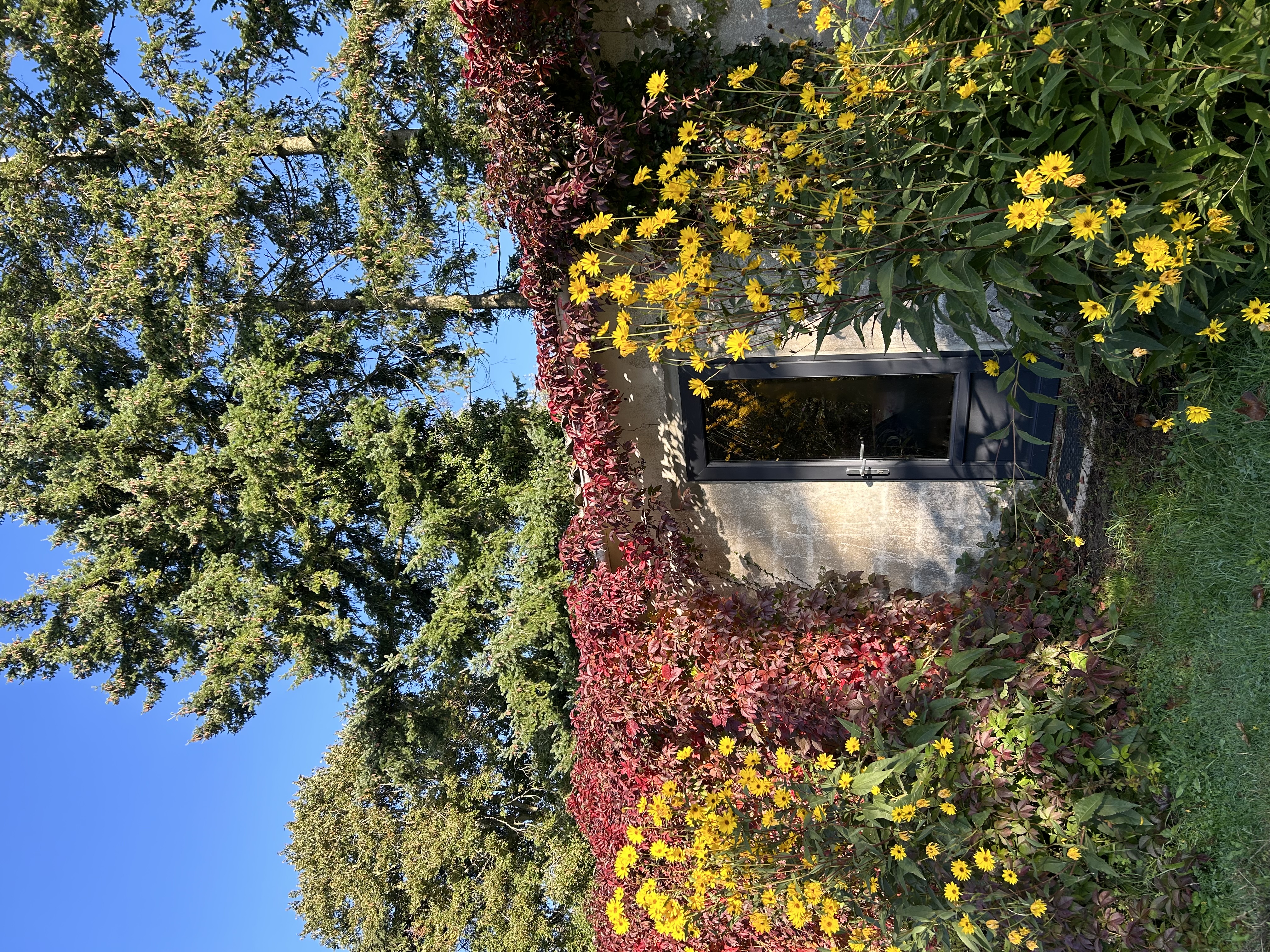 Ecoute la vie - Parc résidentiel de Loisirs, Lunay - photo 10