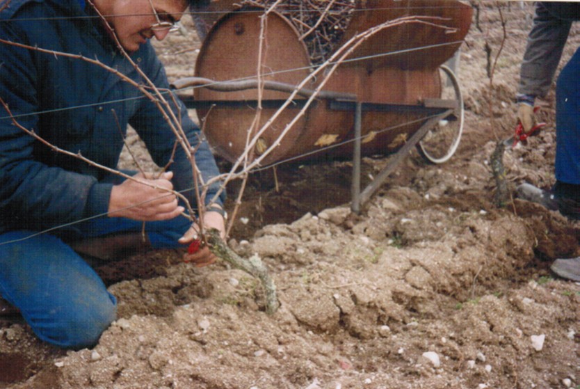Domaine des Tanneries — photo 3